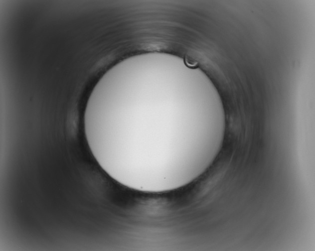 X0000089850304200707121723