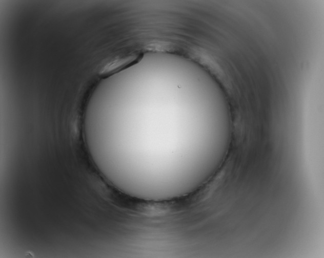 X0000089850305200707121723