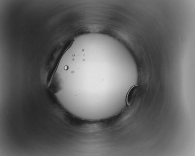 X0000089850307200707121723