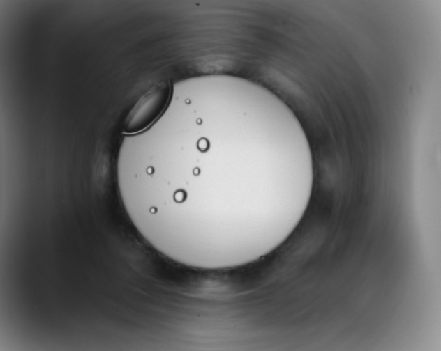 X0000089850308200707121723