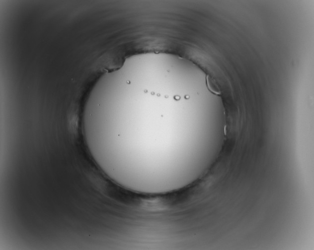 X0000089850309200707121723