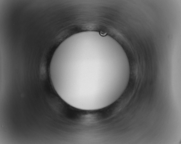 X0000089850312200707121723