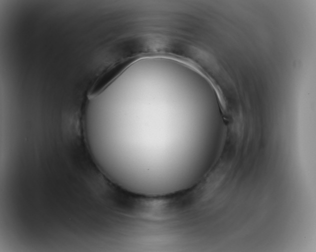 X0000089850313200707121723