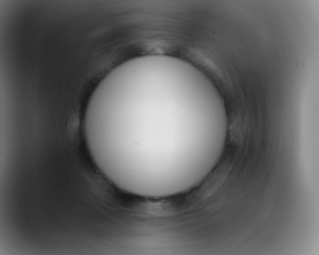 X0000089850314200707121723