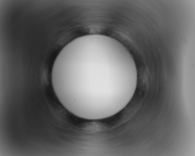 X0000089850316200707121723