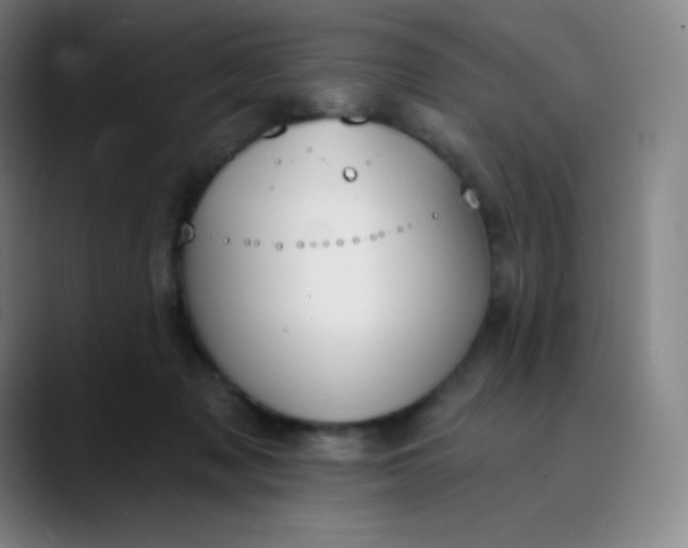 X0000089850317200707121723