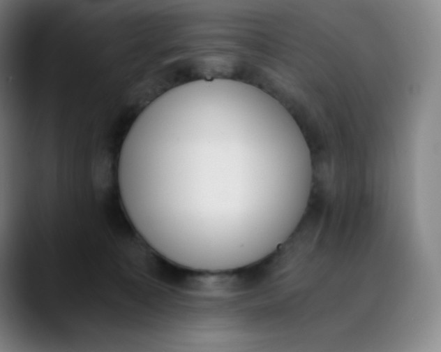 X0000089850323200707121722