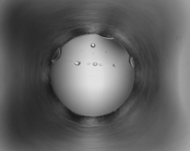 X0000089850325200707121722