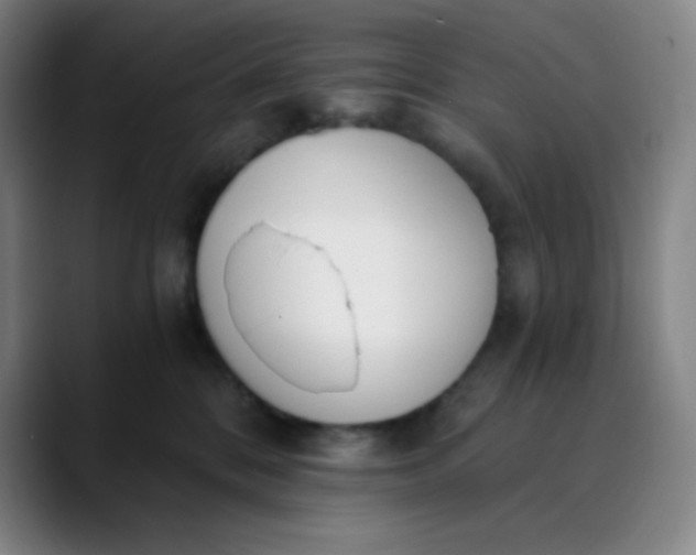 X0000089850328200707121722