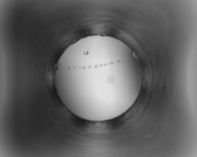 X0000089850329200707121722