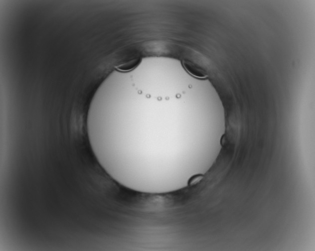 X0000089850330200707121722