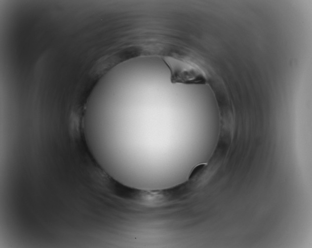 X0000089850333200707121722