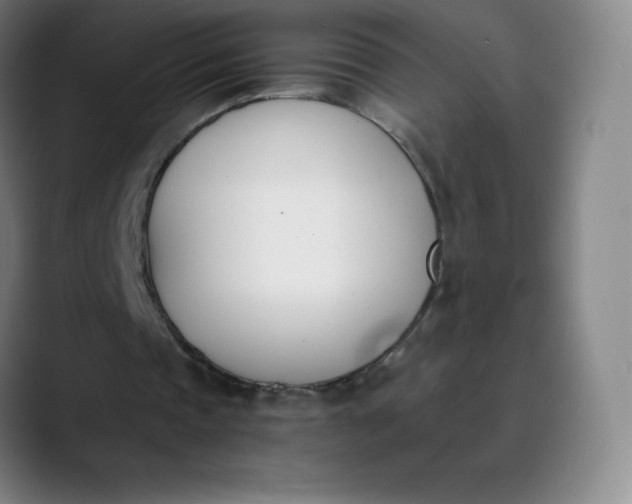 X0000089850337200707121722