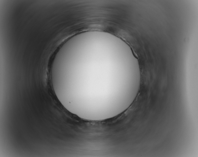 X0000089850338200707121722