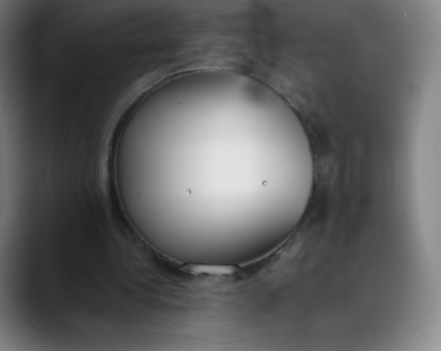 X0000089850340200707121722