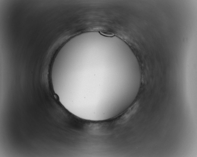 X0000089850341200707121722