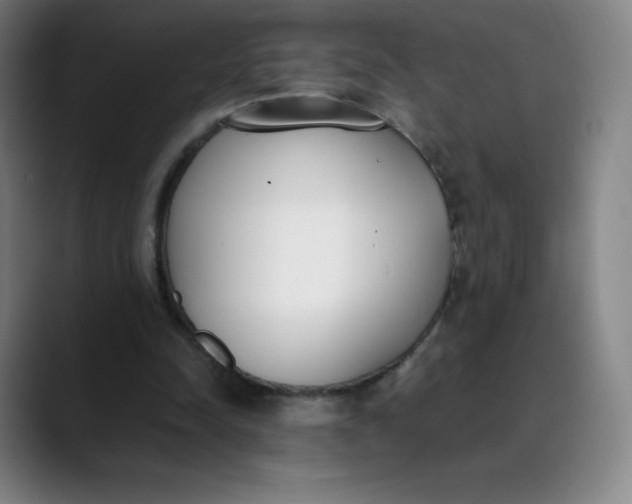 X0000089850342200707121722