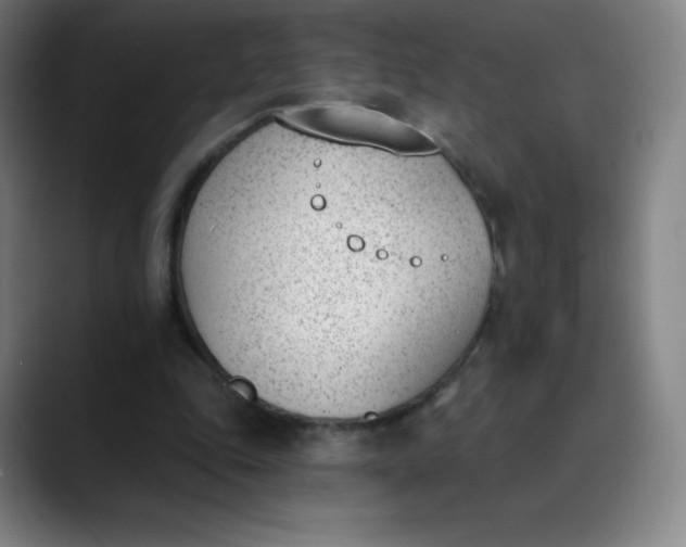 X0000089850343200707121722