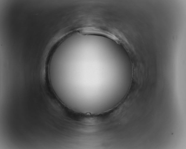 X0000089850344200707121722