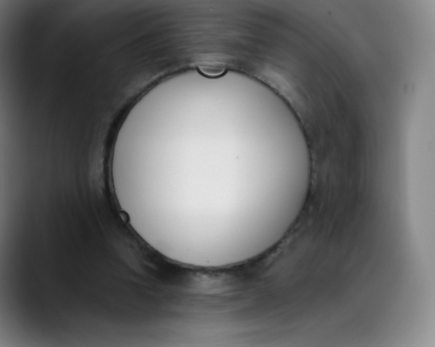 X0000089850346200707121722