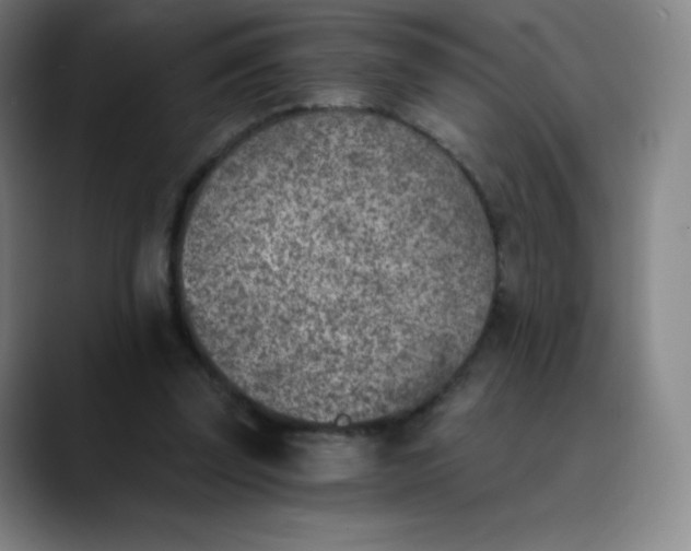 X0000089850347200707121722