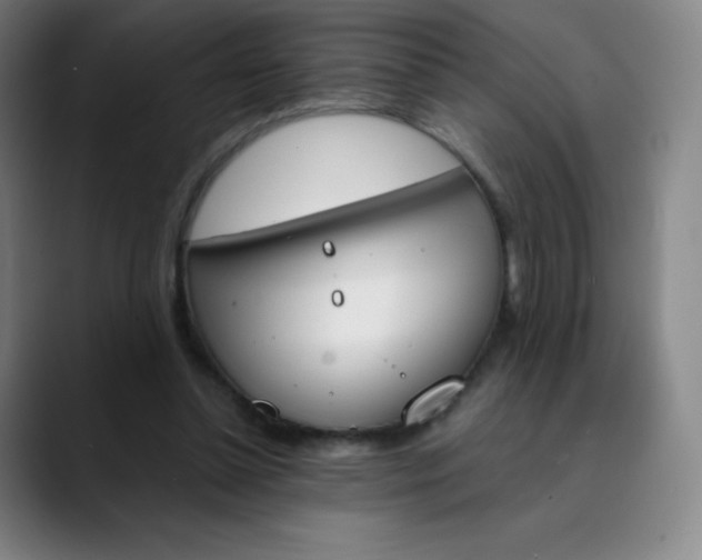 X0000089850348200707121722