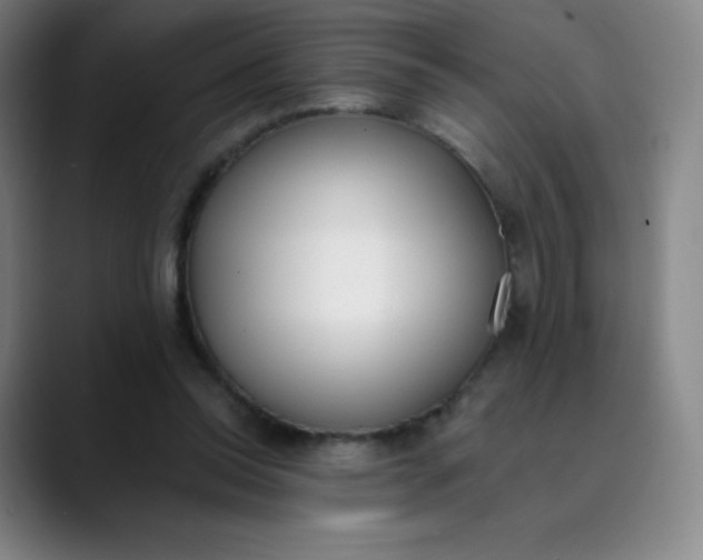 X0000089850350200707121722