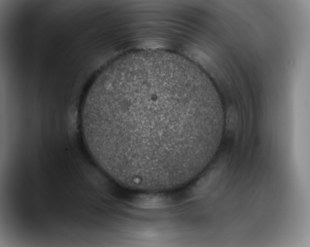 X0000089850351200707121722