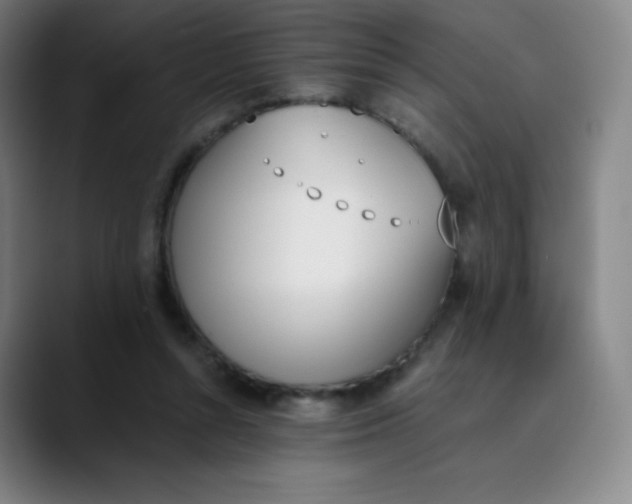 X0000089850352200707121722