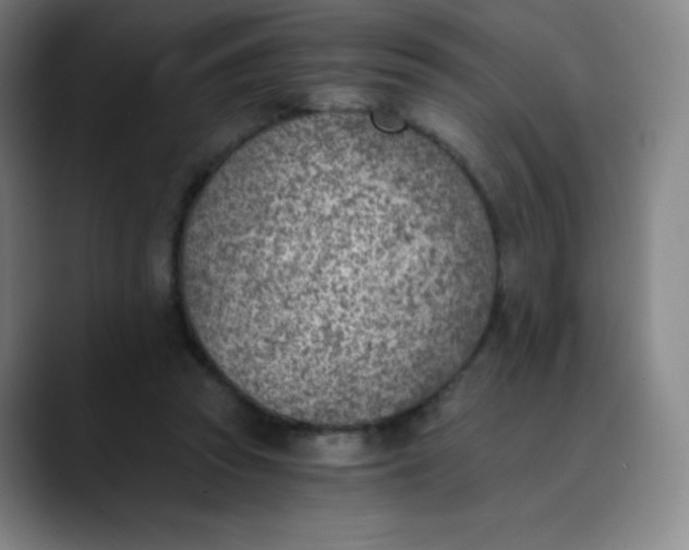 X0000089850353200707121722