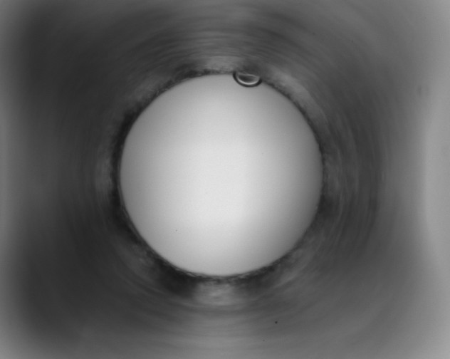 X0000089850354200707121722