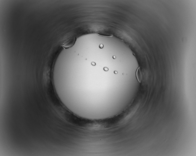 X0000089850356200707121722