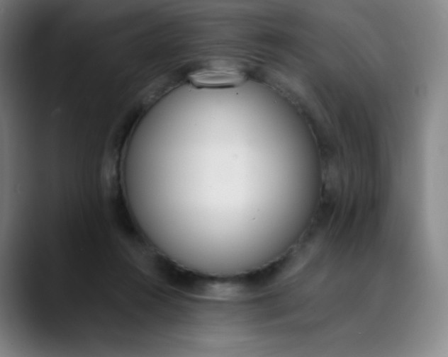 X0000089850360200707121722