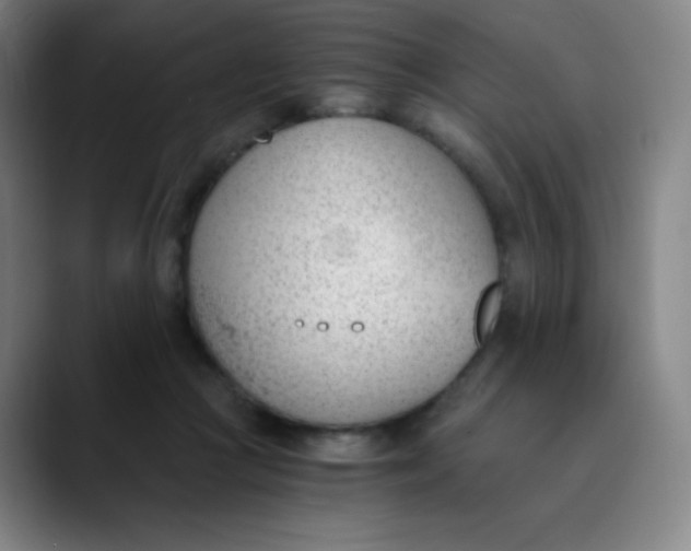 X0000089850361200707121722