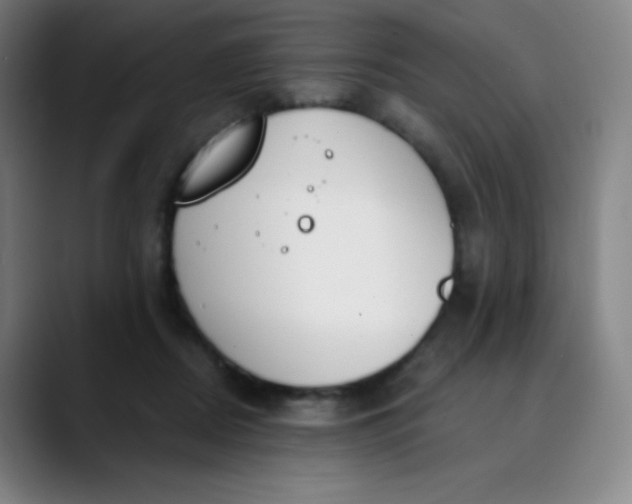 X0000089850362200707121722