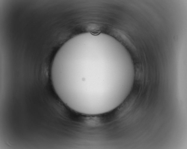 X0000089850363200707121722