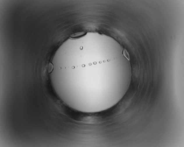 X0000089850364200707121722