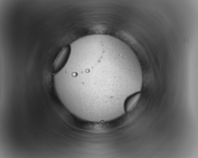 X0000089850365200707121722