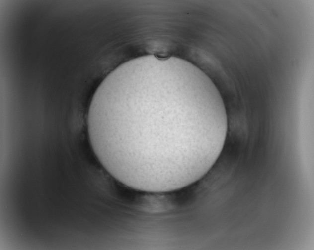 X0000089850367200707121722