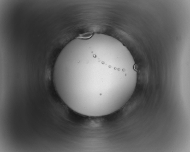 X0000089850368200707121722