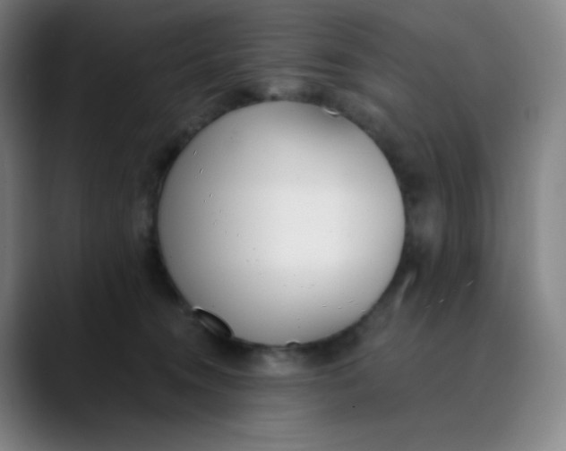 X0000089850372200707121722