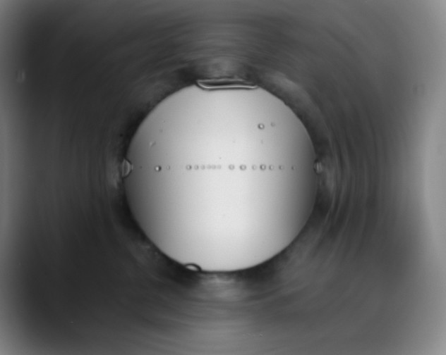 X0000089850380200707121722