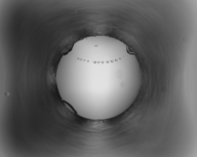 X0000089850384200707121722