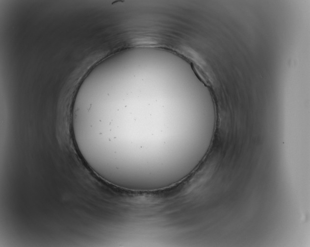 X0000089850385200707121722