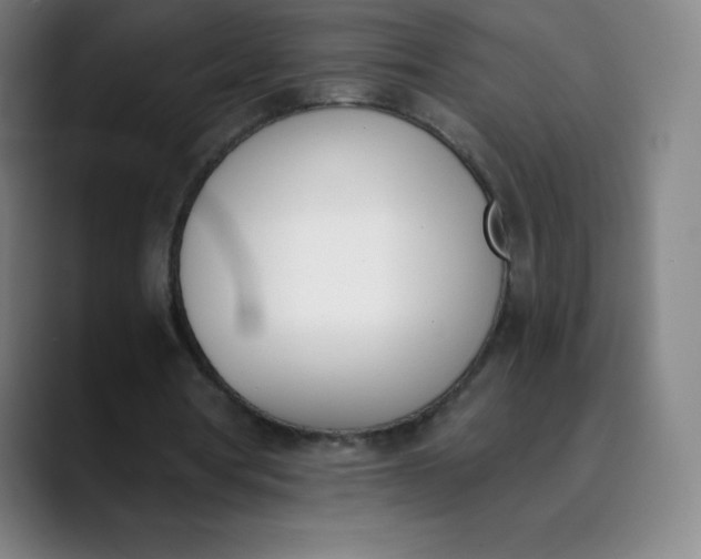 X0000089850386200707121722