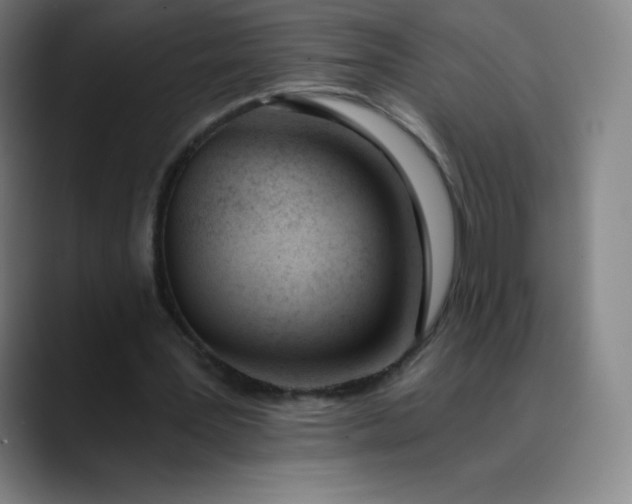 X0000089850387200707121722