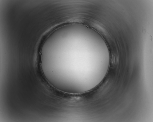 X0000089850388200707121722