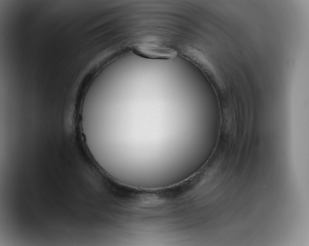 X0000089850392200707121722