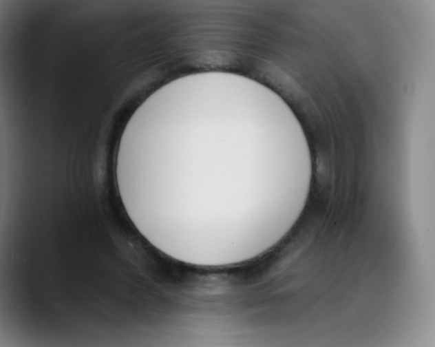 X0000089850396200707121722