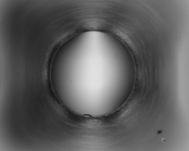 X0000089850399200707121722